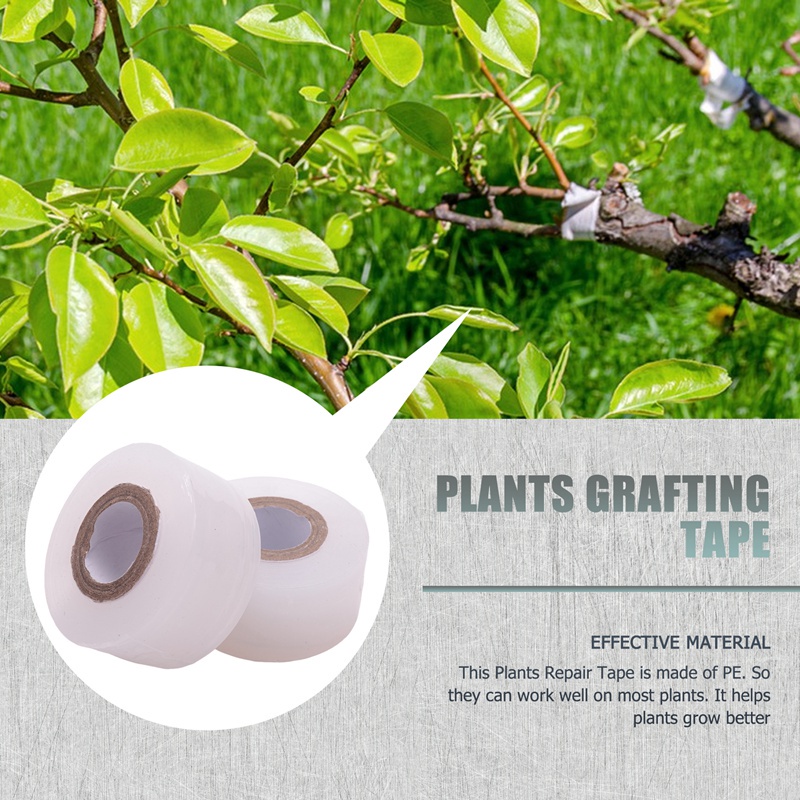 10 Cuộn Băng Keo Ghép Nối Cho Cây Trồng Có Thể Phân Hủy Sinh Học Trong Suốt 3cm