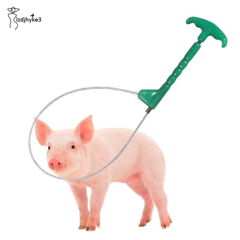 Giá Đỡ Cần Điều Khiển Heo / Chó / Lợn Nặng lzdjhyke3