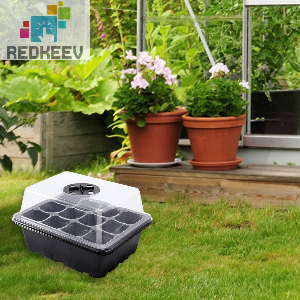 Hộp Gieo Hạt Tiện Lợi Cho Nhà Kính