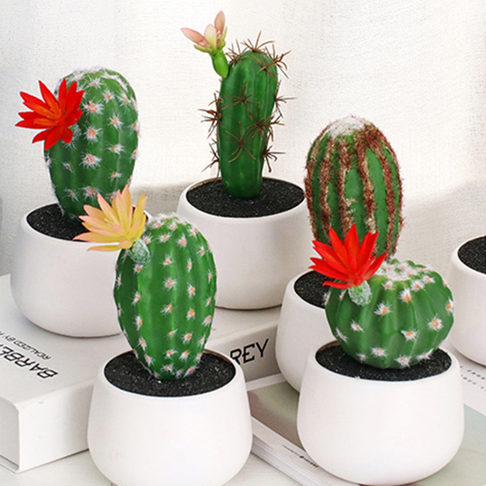 Chậu Cây Xương Rồng Giả Trang Trí Sân Vườn