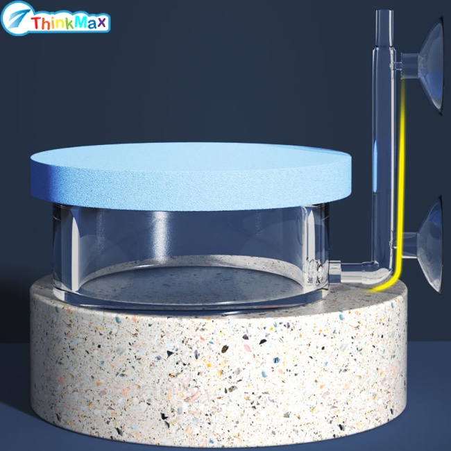 Đá Sủi Khí Oxy Không Gây Tiếng Ồn Chuyên Dụng Cho Bể Cá