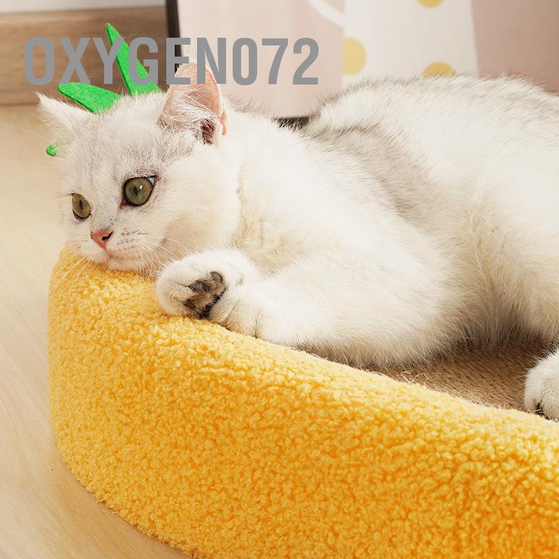 cào cho mèo - cào móng cho mèo - Giường Cào Cho Mèo - Pet Cat Scratcher Bowl Đường kính lớn - Oxygen072