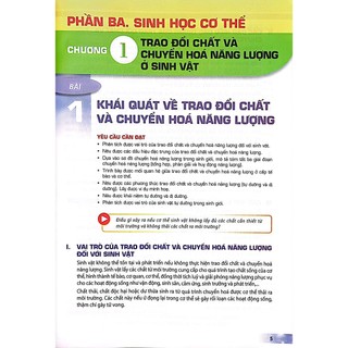 Sách Sinh Học 11 (Kết Nối Tri Thức) (2023)