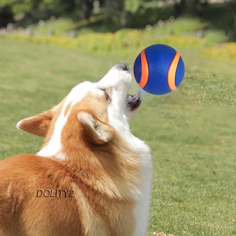 Đồ Chơi Bóng Gặm Tương Tác Cỡ Nhỏ Cho Thú Cưng