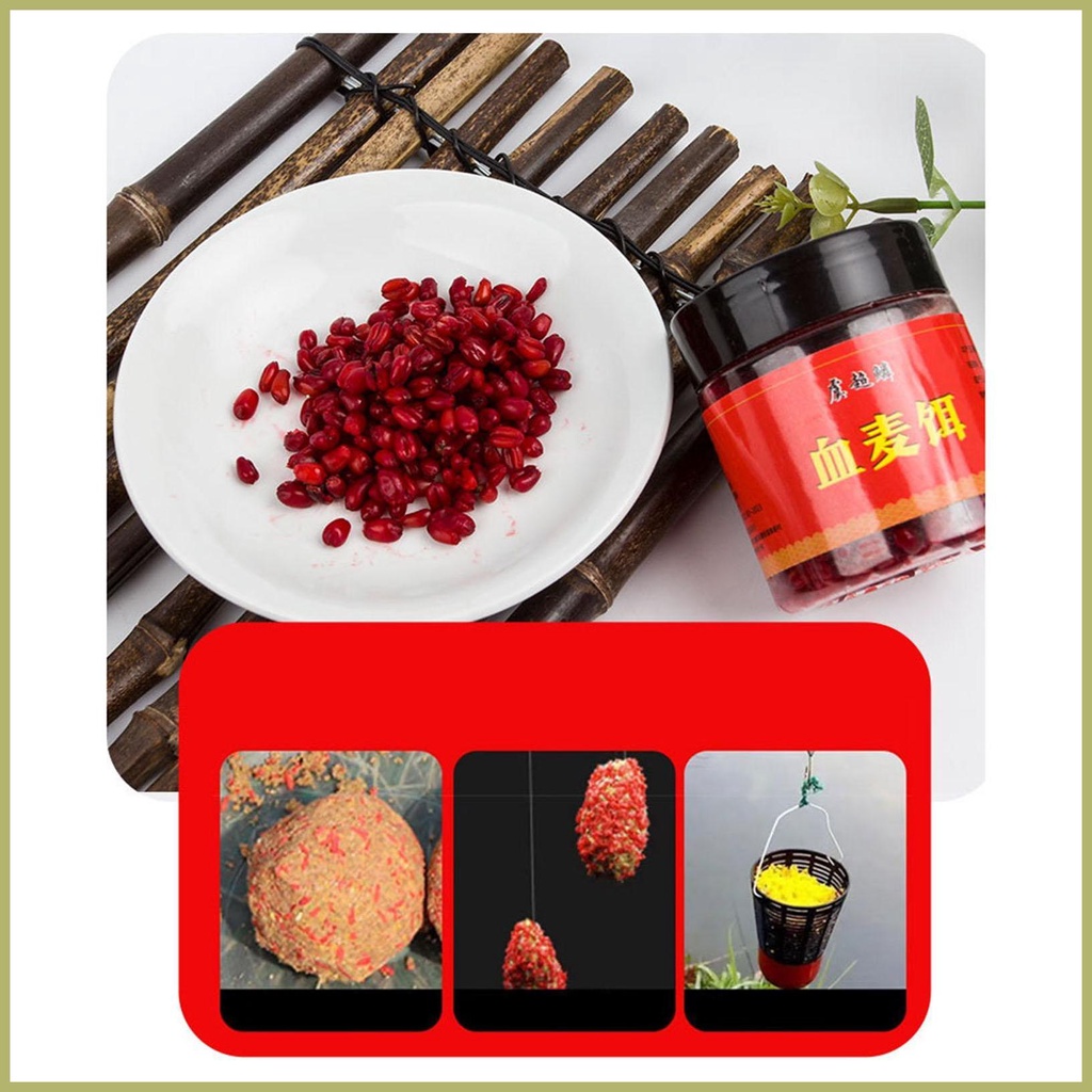 Hộp Lúa Mạch Nhiên Liệu Cho Cá Chép Catfish Trout Cod Bass Bền Dễ Sử Dụng