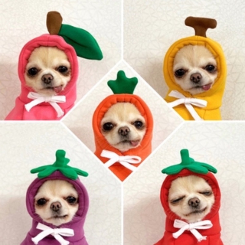 Hoodie cho chó / mèo / mèo con / quần áo mùa đông / quần áo cho chó