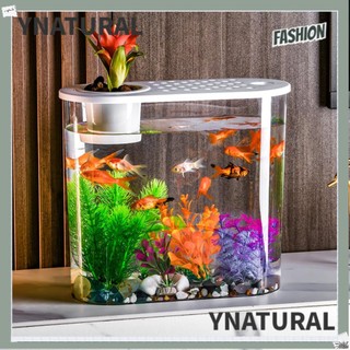 Bể cá mini bằng nhựa trong suốt hình trụ để bàn
