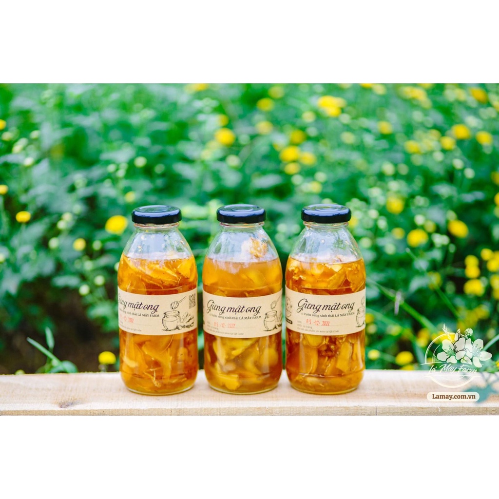 Gừng mật ong 350ml - Lá  Mây Farm