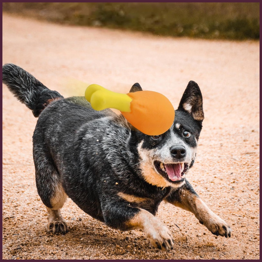 Bộ 4 Đồ Chơi Nhai Gặm Hình Đùi Gà Cho Thú Cưng