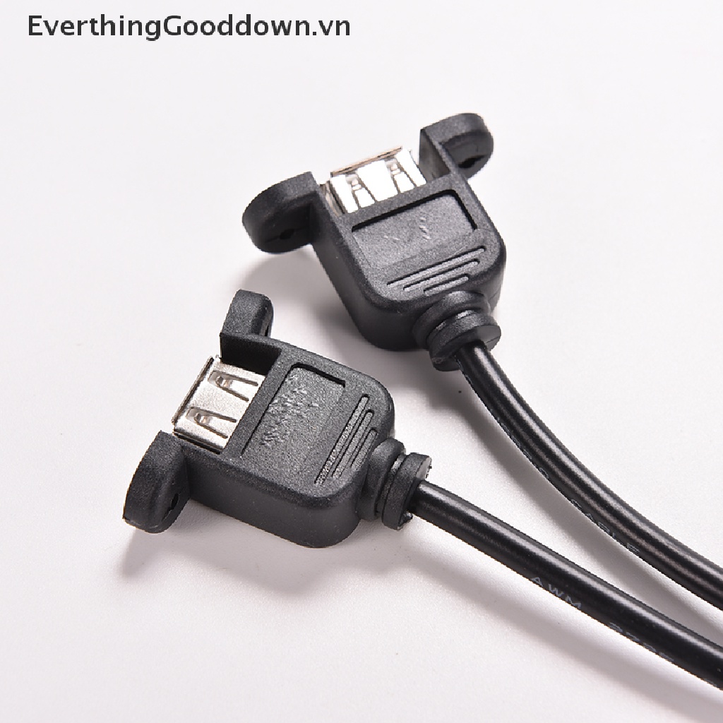 1 Cáp Chuyển Đổi Từ Giác Cắm USB A Sang Ổ Cắm 9 Pin 30cm / 1FT 2 Cổng Tiện Dụng