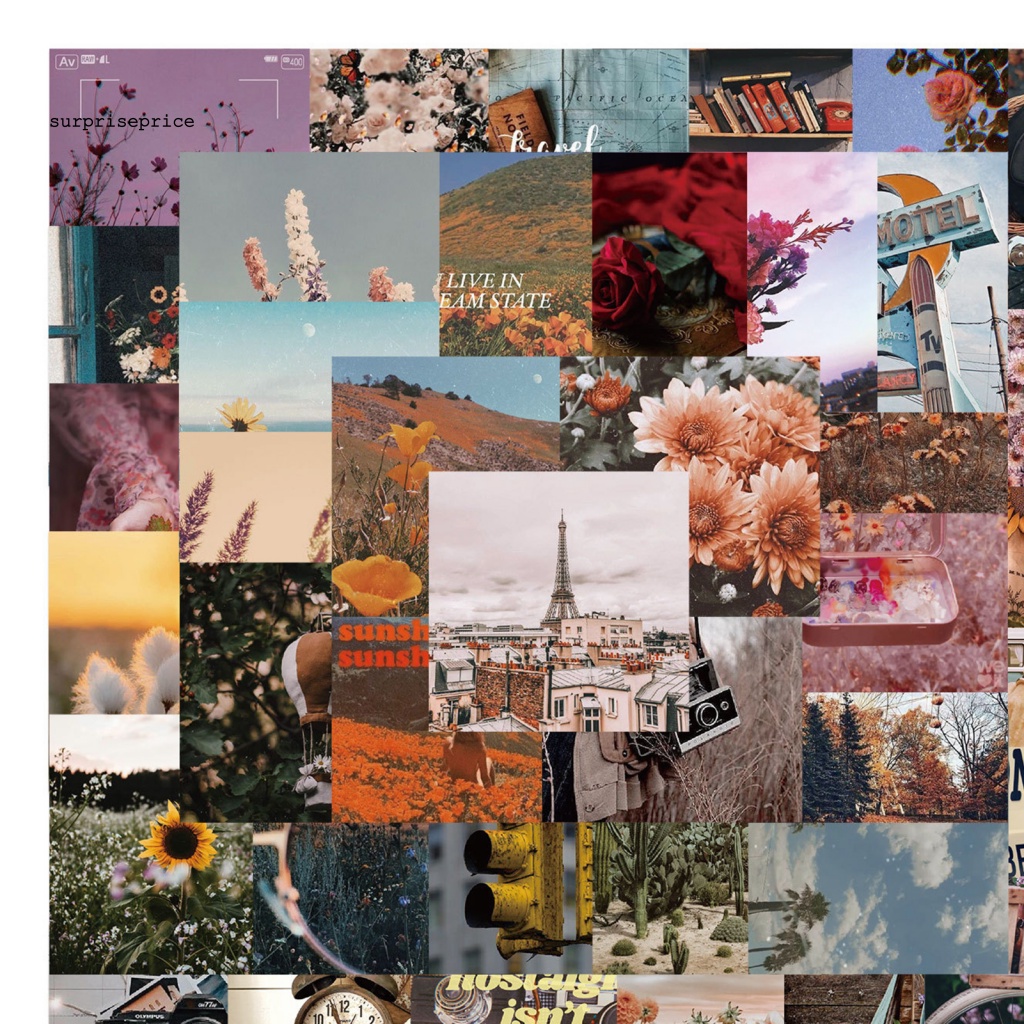 Bộ 56 Miếng Dán PVC Chống Nước Dùng Trang Trí Ván Trượt