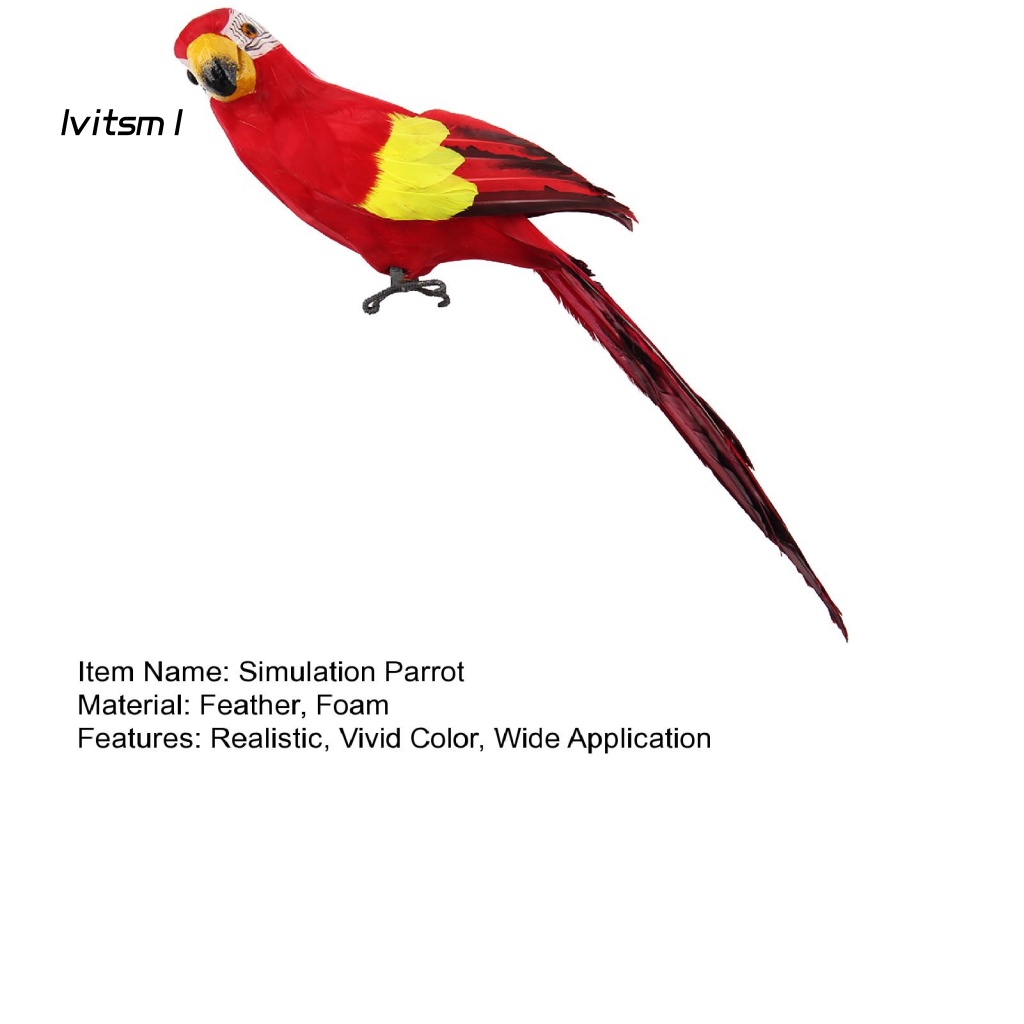 Mô Hình Chim Vẹt Mắt To 3D Bằng Xốp Màu Sắc Sống Động Dùng Trang Trí