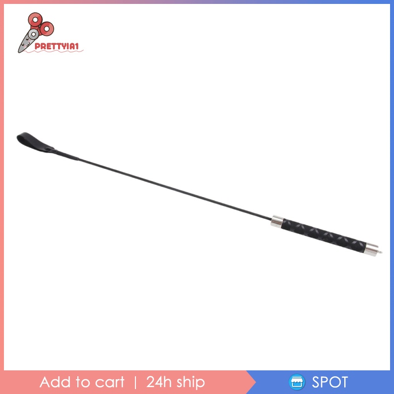 Gậy Huấn Luyện Thú Cưng Prettyia1 Tiện Lợi