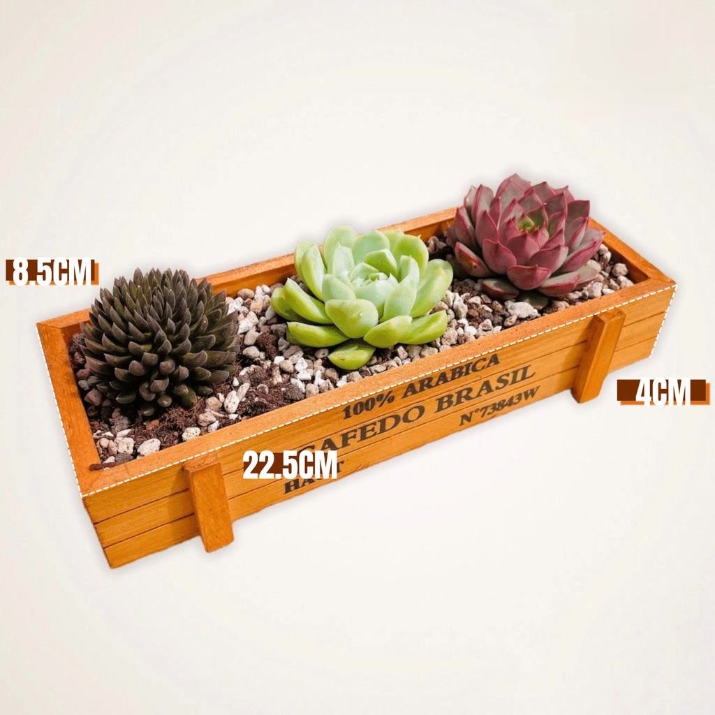 ​​​​Mô Hình Tiểu Cảnh "Chậu Gỗ Hình Chữ Nhật Vintage Mini" Trang Trí Sen Đá, Sân Vườn/ Chậu Cây, DYI, Terrarium