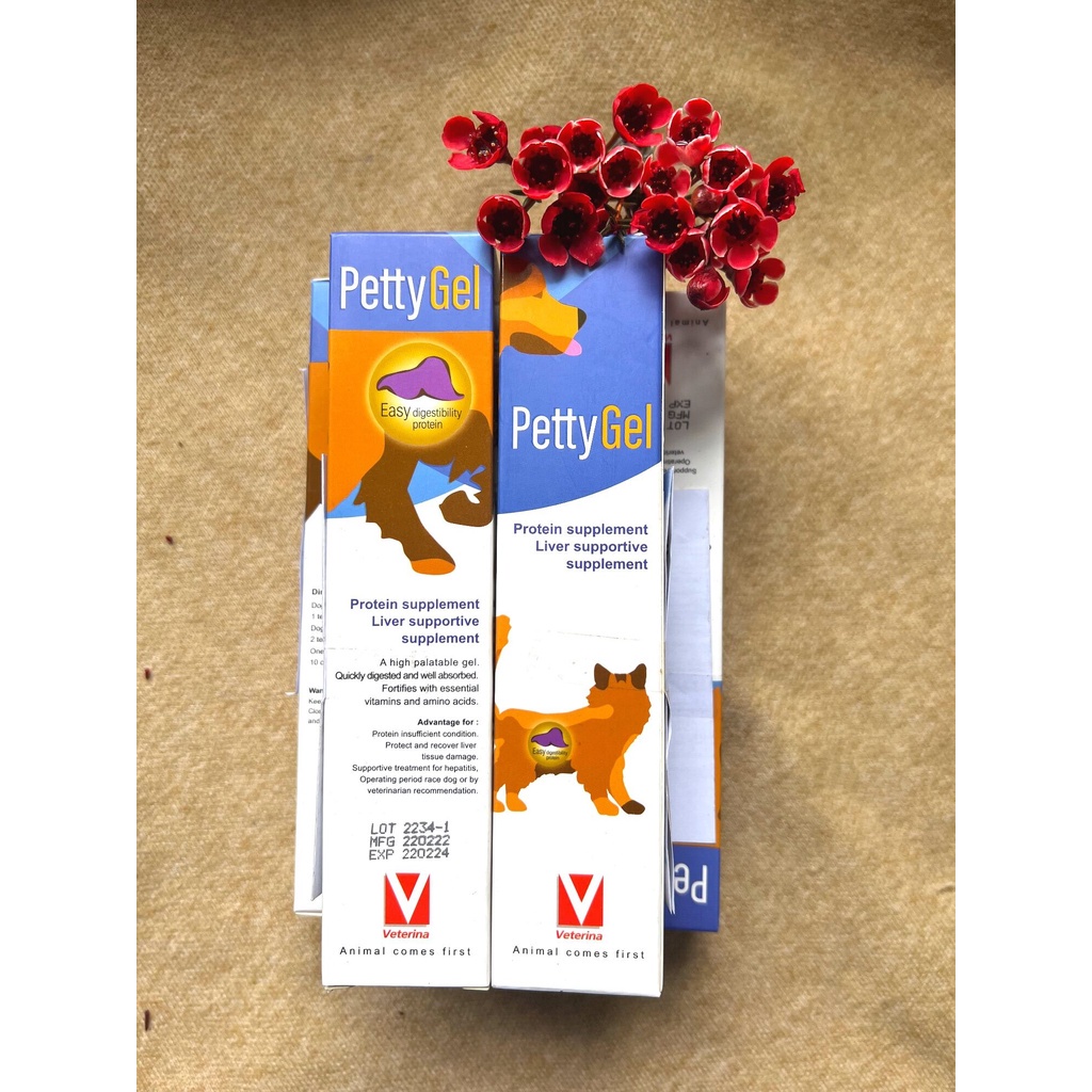 Gel ăn bổ sung chất dinh dưỡng cho chó mèo-Petty Gel