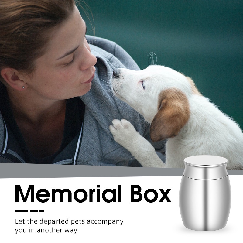 HamshMoc Giá Đỡ Bằng Thép Không Gỉ Màu Bạc Cho Thú Cưng