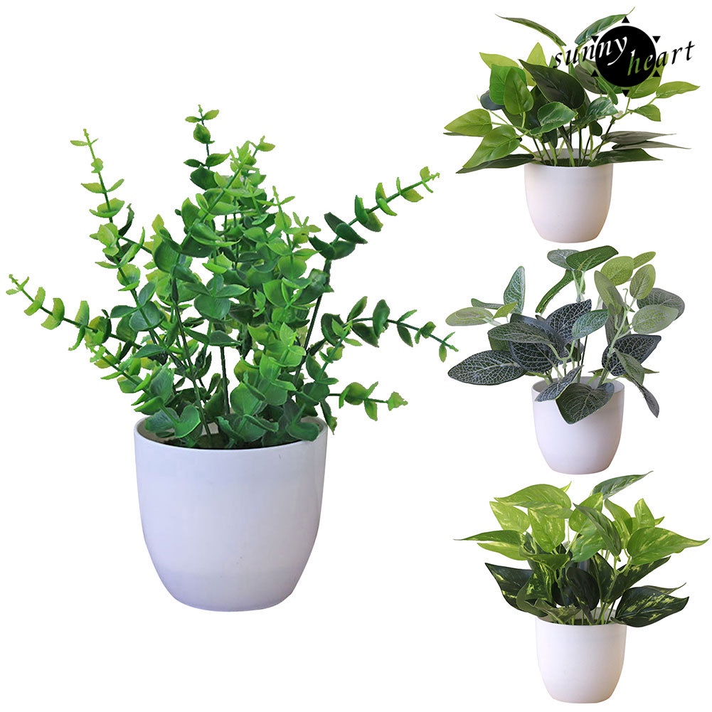 Chậu Cây Bonsai Bằng Nhựa Không Phai Đa Năng Trang Trí Nhà Cửa / Tiệc Cưới