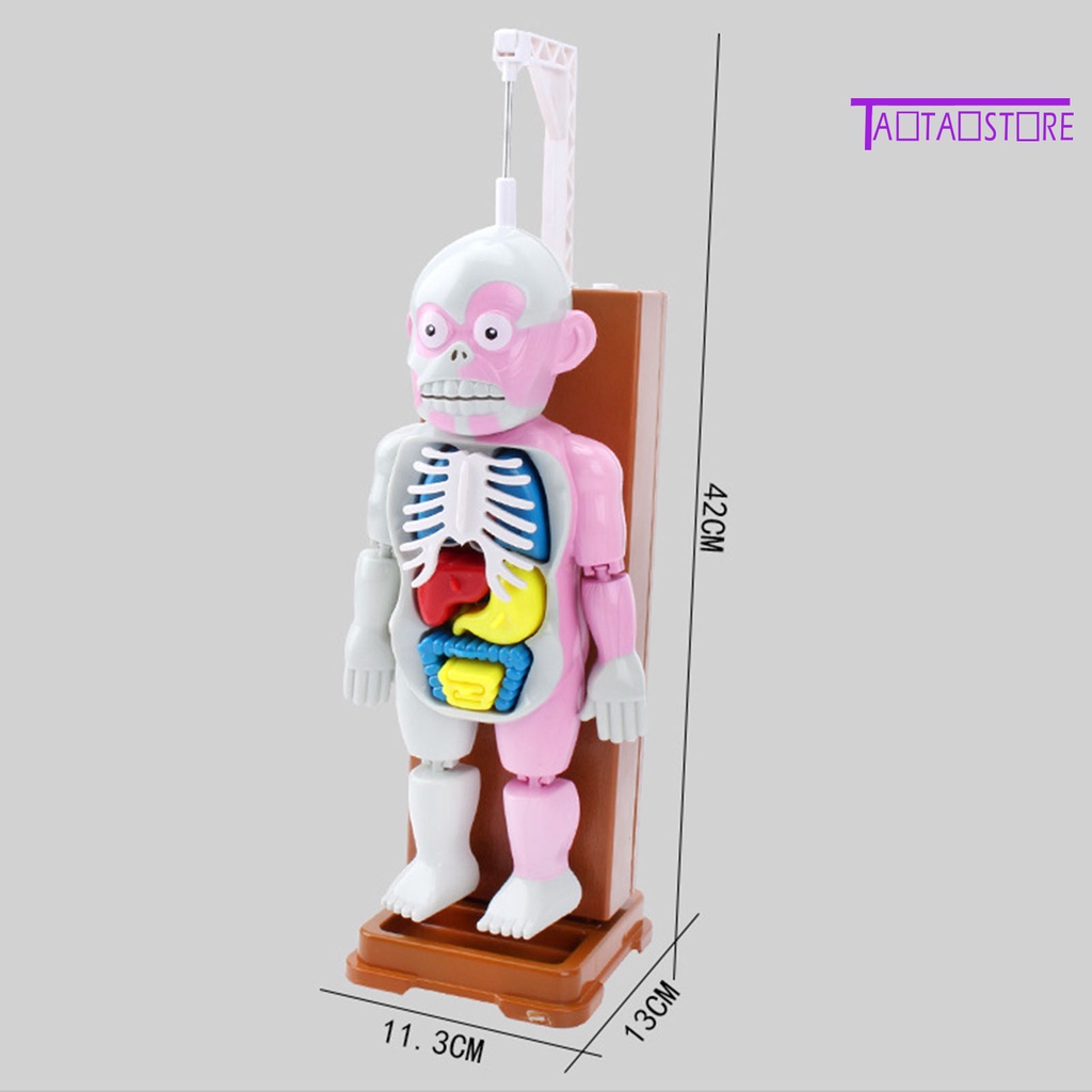 Set 37 Thẻ Ma Nơ Canh Phát Ra Âm Thanh Hóa Trang Halloween