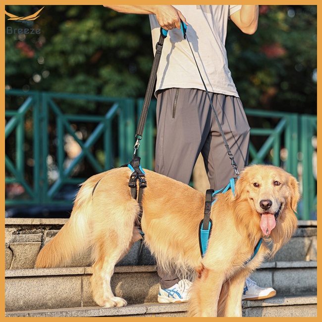 Đai Yếm Đeo Chân Giúp Hỗ Trợ Tăng Khả Năng Chống Chấn Thương Cho Thú Cưng