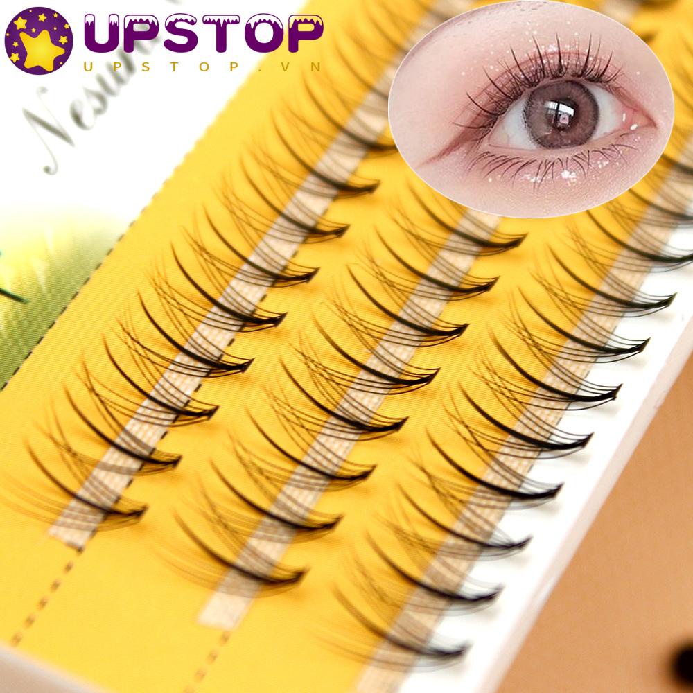 Hộp 60 Bó Lông Mi Giả Thời Trang Lâu Trôi Dễ Sử Dụng