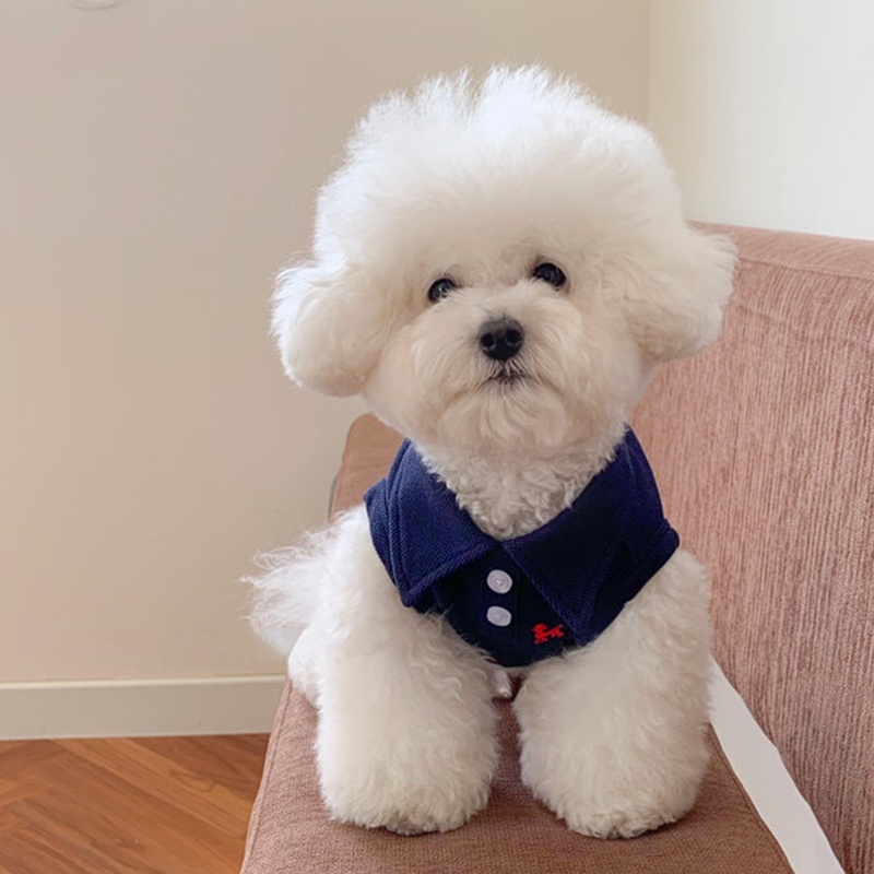 Áo Thun Có Cổ In Hình Chó Poodle Ngộ Nghĩnh Đáng Yêu Cho Thú Cưng