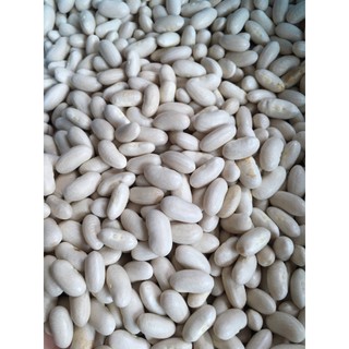 Đỗ trắng hạt to vụ mới thơm ngon bở bùi