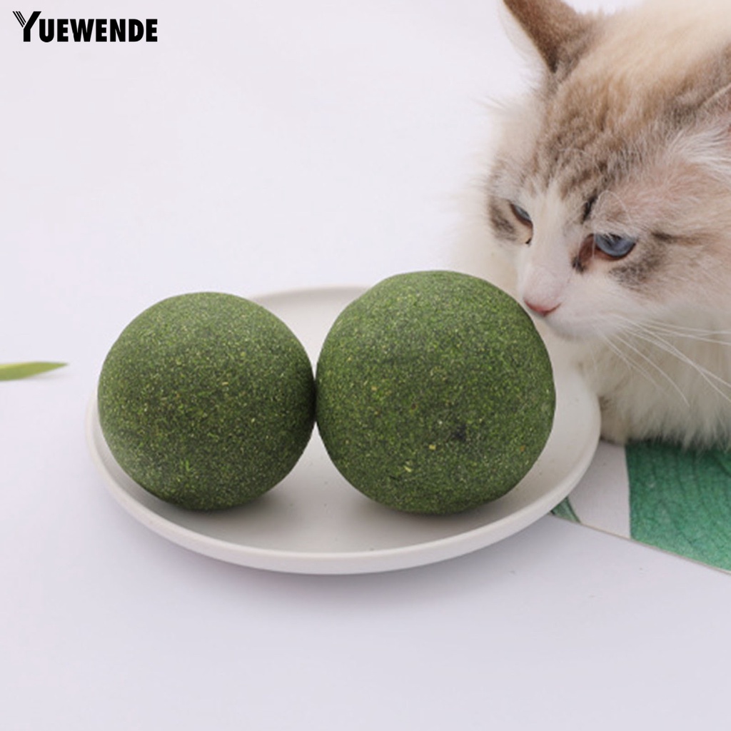 Quả Bóng Gặm Chống Cắn Tự Nhiên Quyến Rũ Cho Mèo Cưng YQ.E