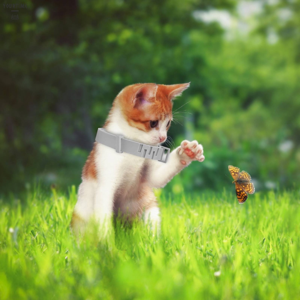 Vòng Cổ BằNg Silicone Cho Thú Cưng