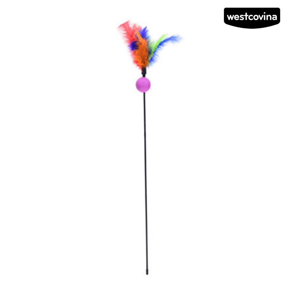 [COD]♞Gậy Gắn Lông Vũ Chơi Với Mèo