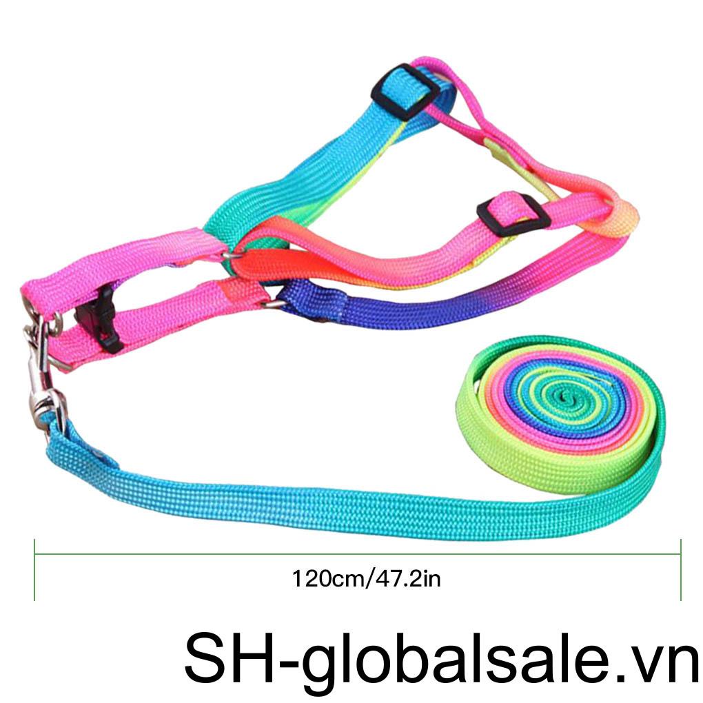 Bộ Dây Dắt Thú Cưng Đi Dạo Bằng Nilon Nhiều Màu Tùy Chỉnh Tiện Dụng