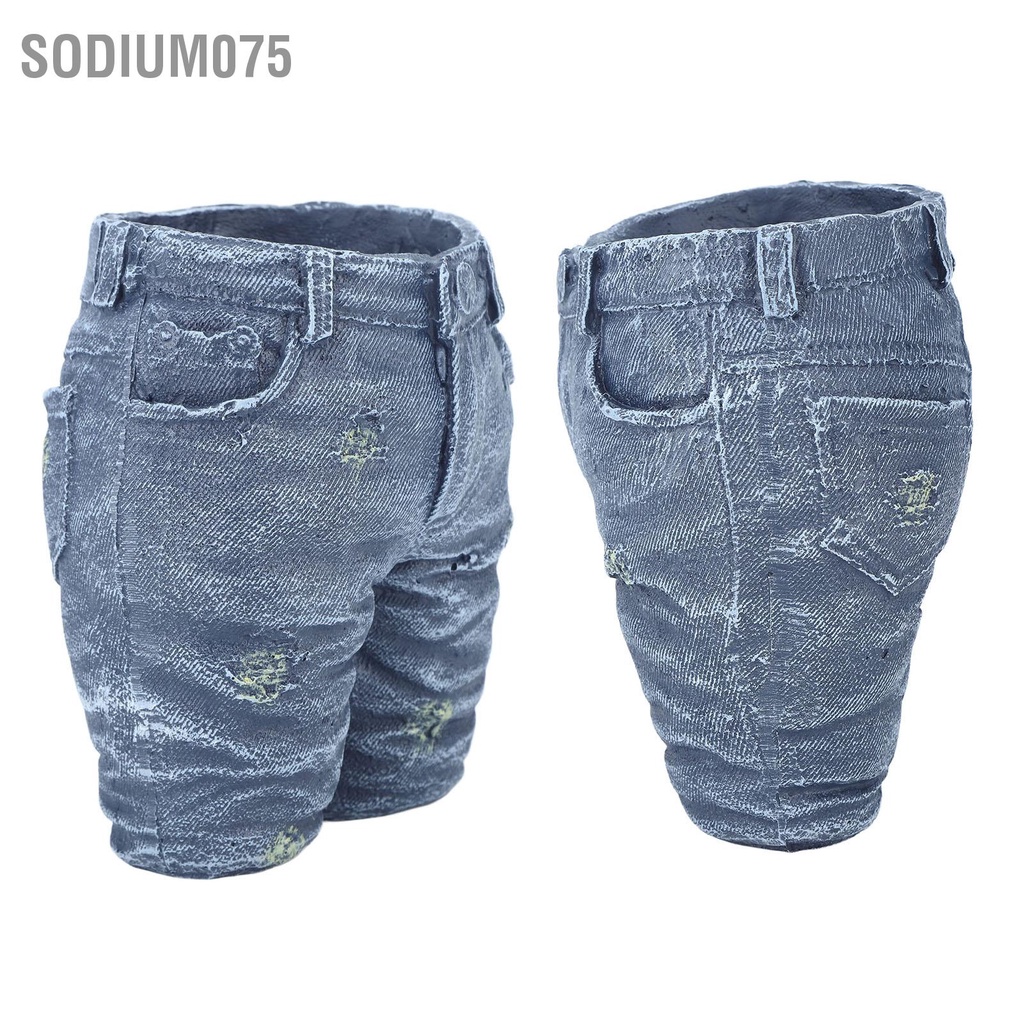 Sodium075 Sáng Tạo Hoa Denim Trang Trí Nồi Quần Áo Cho Vườn Thủ Công