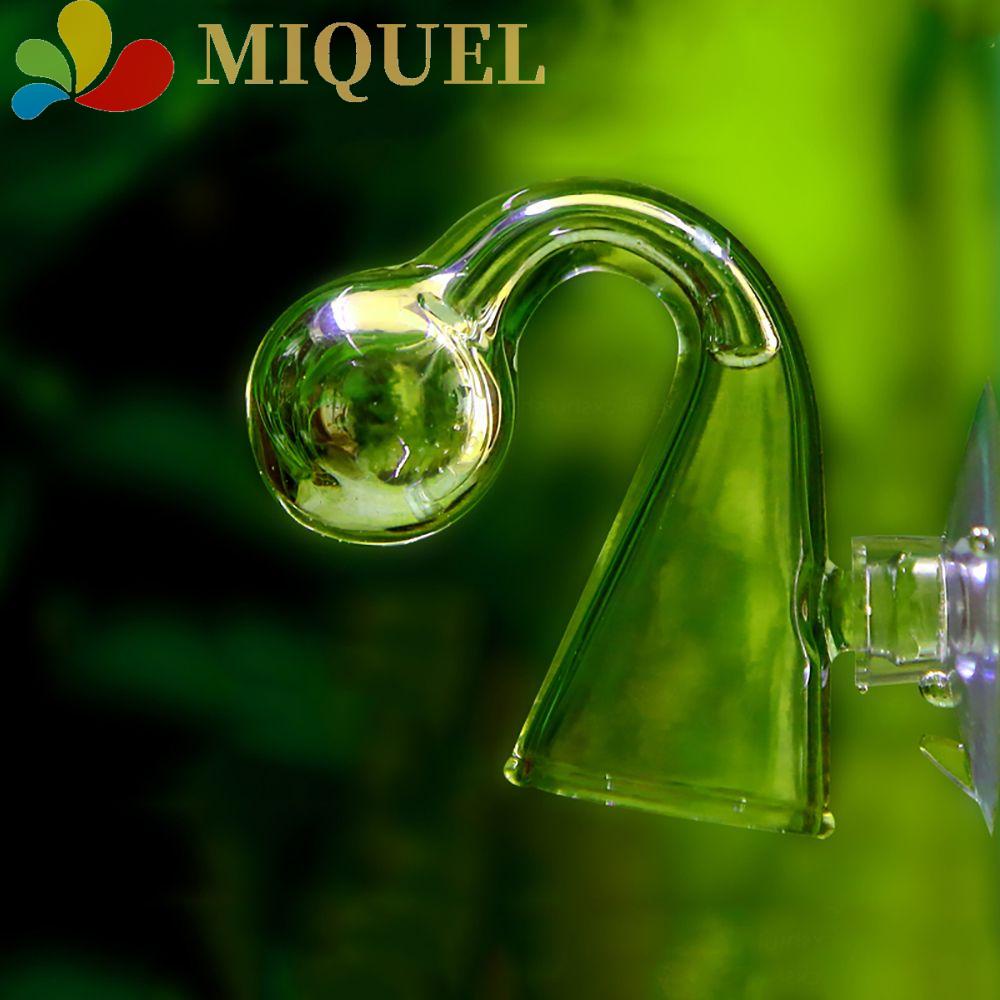 MIQUEL Máy Khuếch Tán CO2 Term CO2 Cho Bể Cá Cảnh