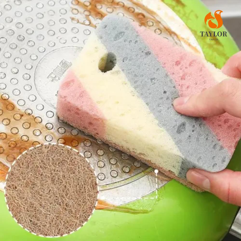 TAYLOR1 Set 1 / 5 Miếng Bọt Biển Hai Mặt Dày Dặn Thấm Hút Nước Tốt Để Nấu Ăn