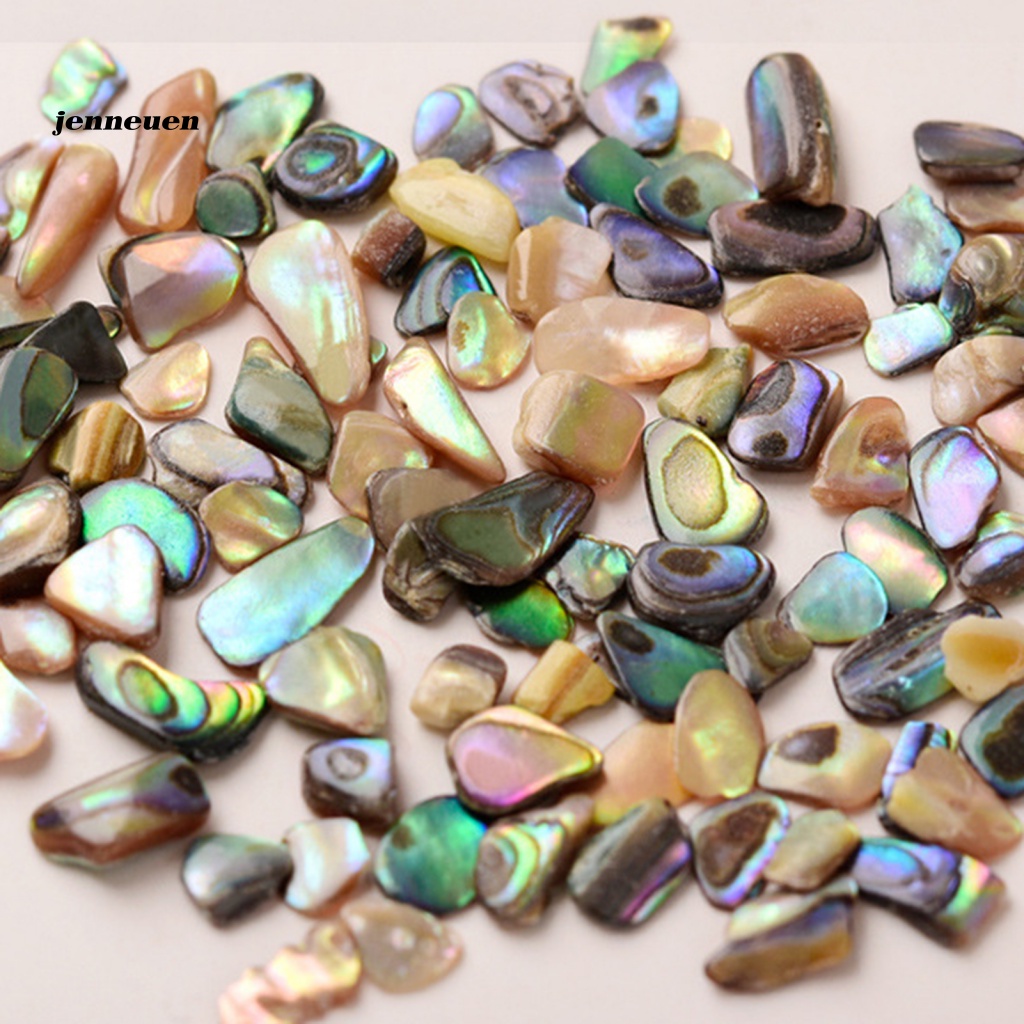 Phụ Kiện Vỏ Sò 3D Trang Trí Móng Nghệ Thuật Cho Nữ