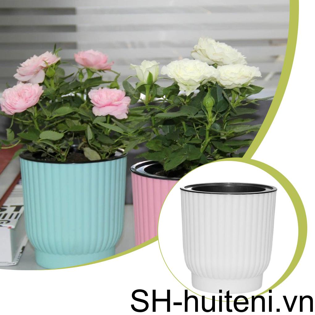 Chậu Trồng Cây Trong Nhà Và Ngoài Trời Gọn Nhẹ