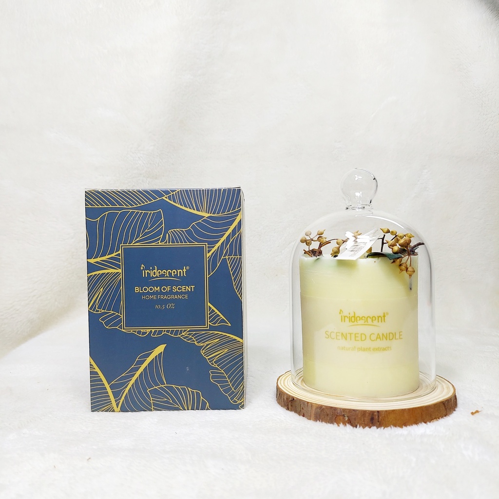 Nến thơm không khói thư giản trang trí hoa khô làm quà tặng phong cách hiện đại kèm chụp thủy tinh và đế gỗ