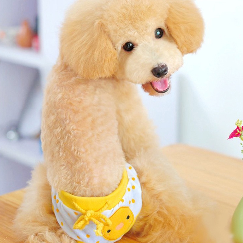 Chó dễ thương sinh lý quần lót tã quần vệ sinh dễ thương phim hoạt hình động vật
