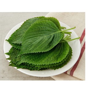 Hạt Giống Lá Mè Hàn Quốc (Vừng Hàn Quốc) (0.5Gr)