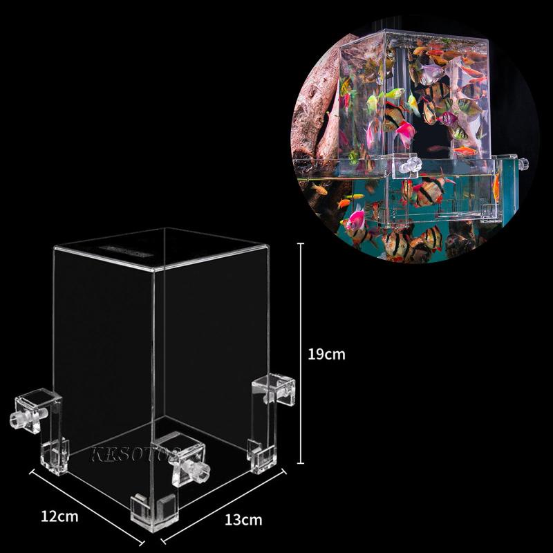 Bể Cá Áp Suất Âm Acrylic Trong Suốt Kesoto2 [Kesoto2] Cho Bể Cá Sơ Sinh