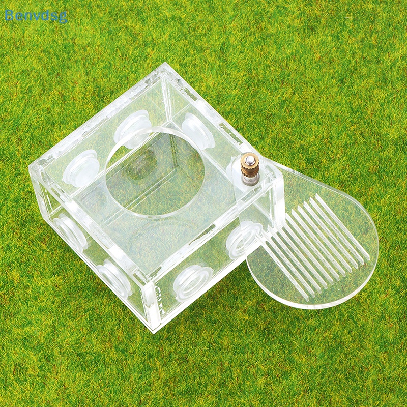 Benvdsg > Phụ Kiện Ống Nghiệm Bằng Acrylic Trong Suốt Độc Đáo DIY