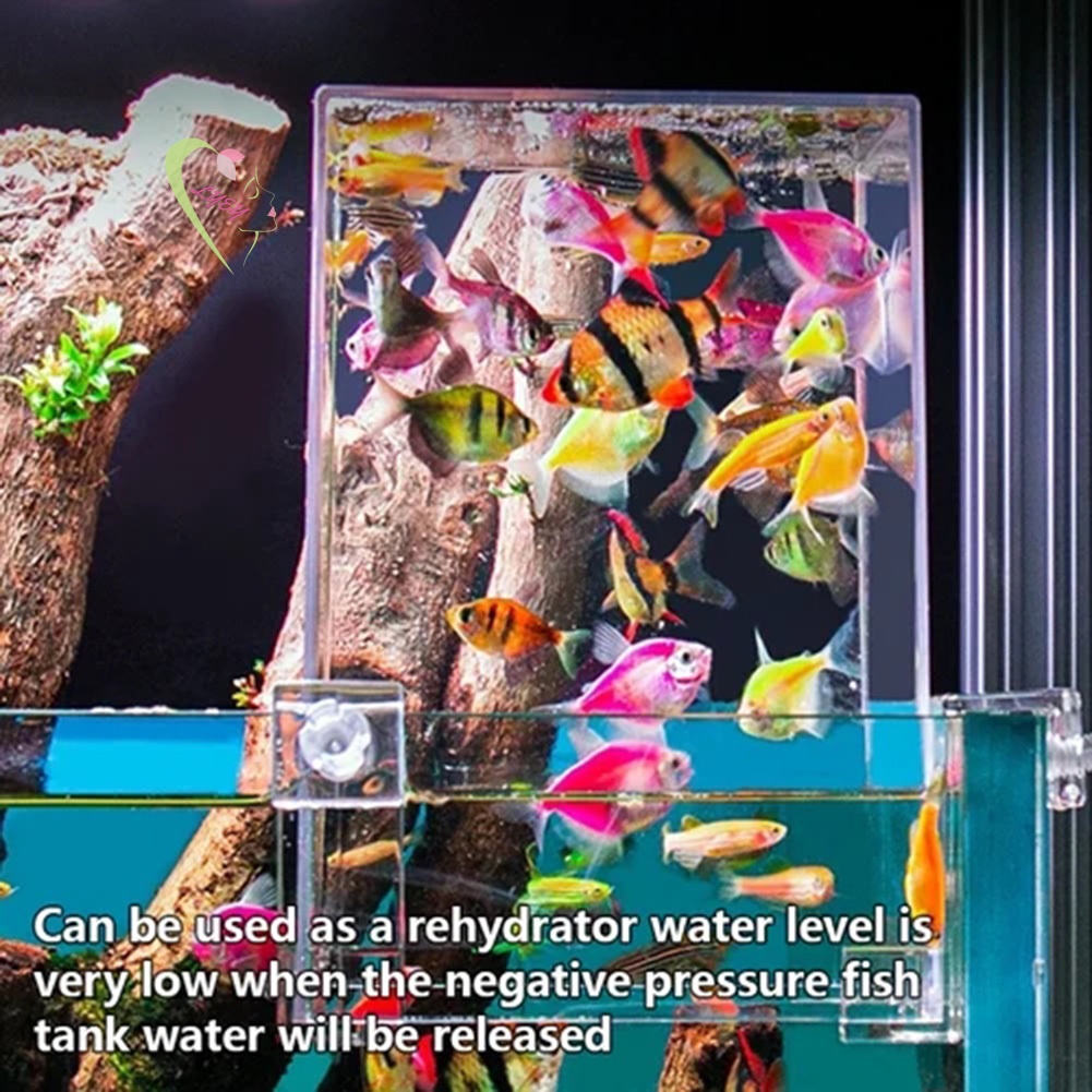 Bể Cá Áp Suất Âm Thanh Bằng Acrylic Trang Trí Bàn Làm Việc