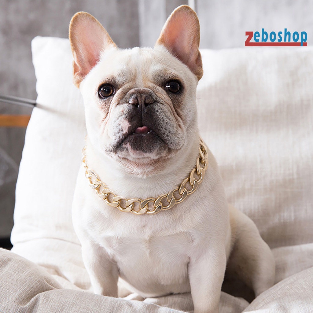 Vòng Cổ Bằng Nhựa Có Thể Điều Chỉnh Dành Cho Chó Pitbull