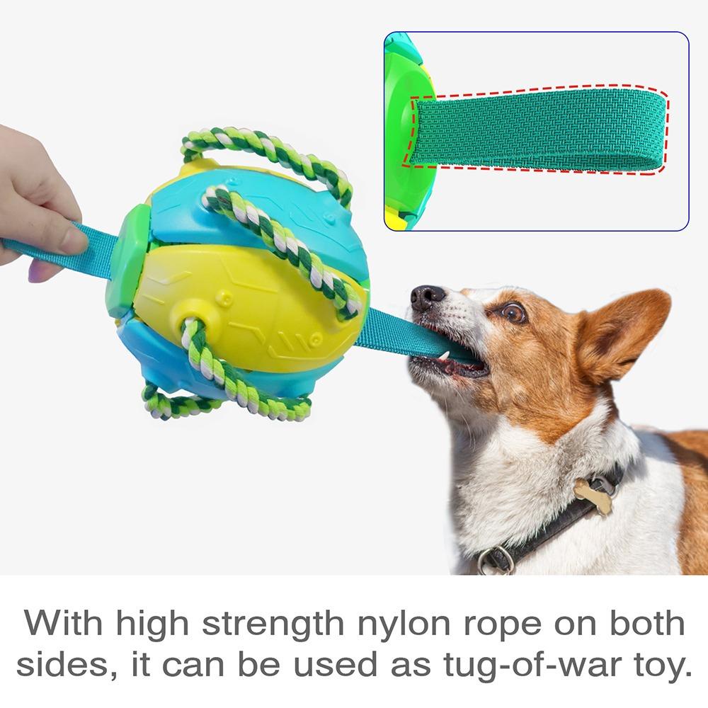 1 Trái Bóng Đồ Chơi Chống Cắn AARON1 Cho Thú Cưng