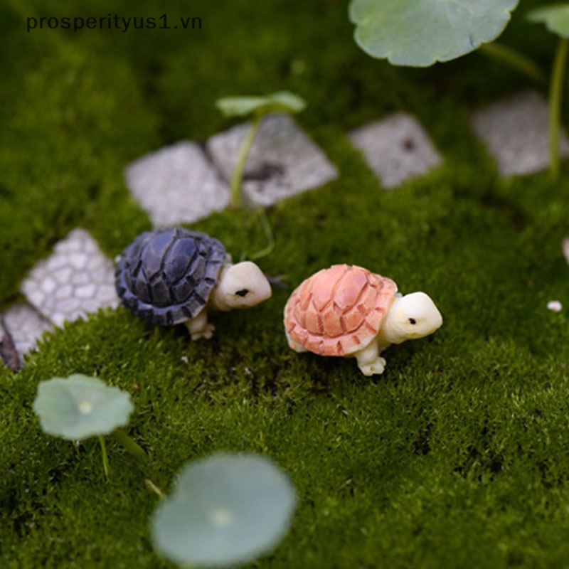 Bộ 5 Tượng Rùa Biển Dùng Trang Trí [prosperityus1]