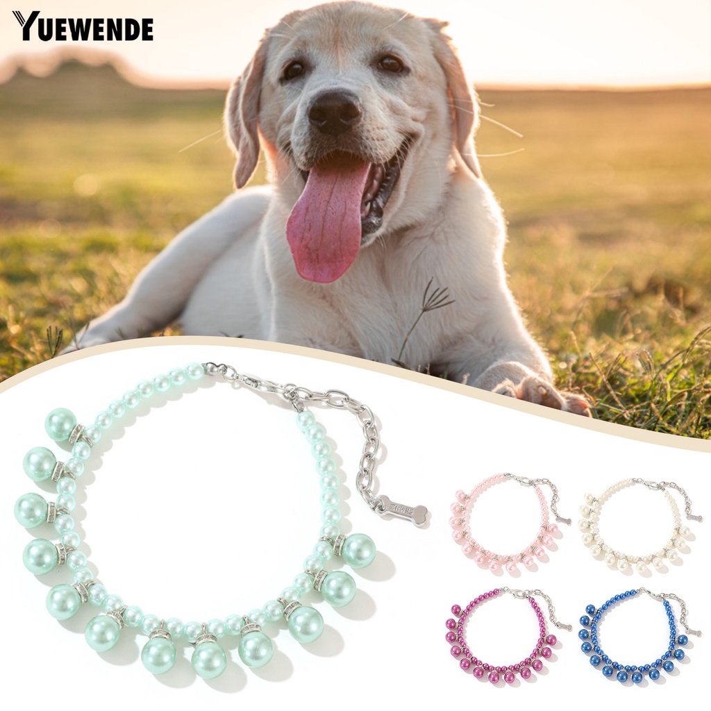 Yq.e Vòng Cổ Mặt Màu Sắc Tươi Sáng Không Phai Màu Có Mặt Dây Chuyền Dành Cho Thú Cưng