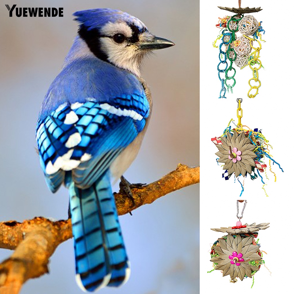 Đồ Chơi Treo Cho Vẹt Cưng Nhai Thỏa Thích Vui Nhộn