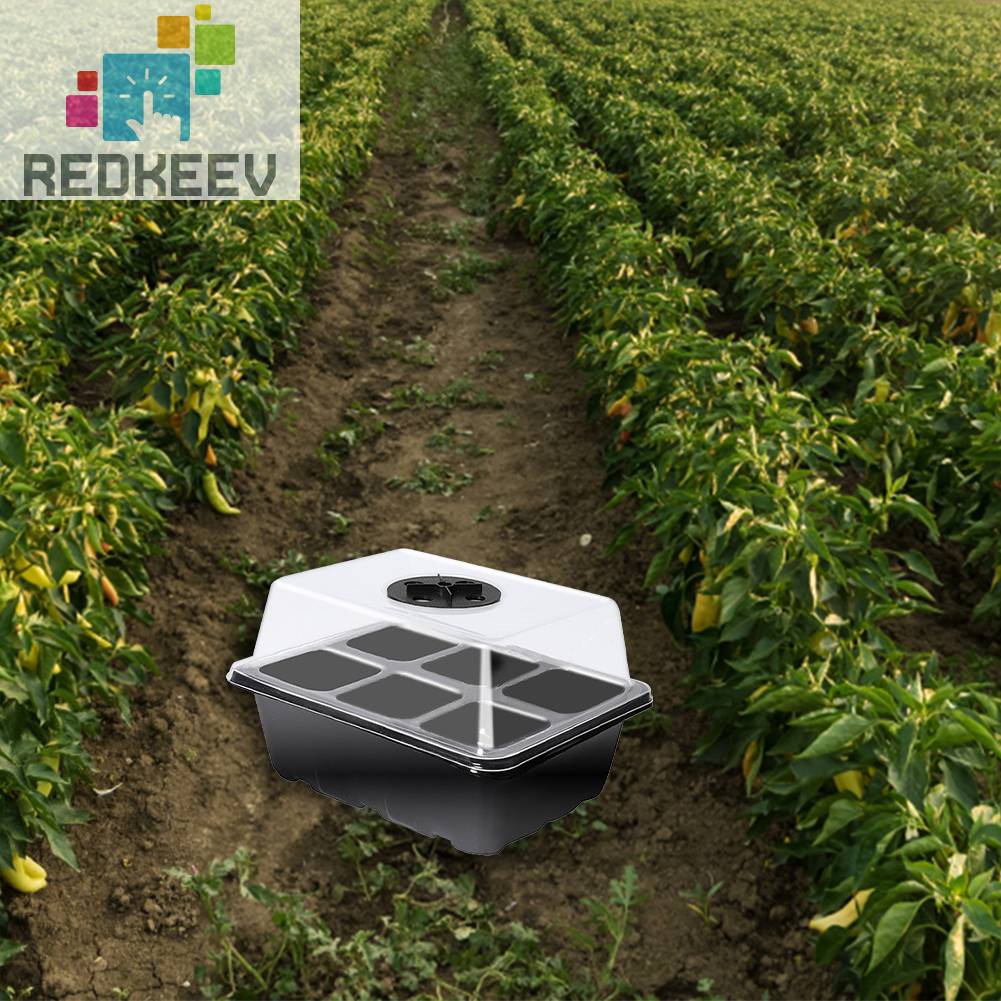 Hộp Gieo Hạt Tiện Lợi Cho Nhà Kính