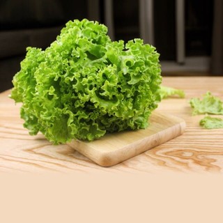 Seeds lettuce curly green (pack of 0.5 gram)-shallow gold