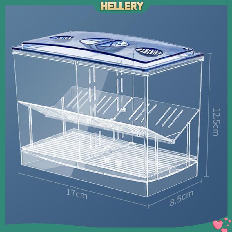 Hộp Nuôi Cá Dễ Sử Dụng Cho Văn Phòng Guppy Betta