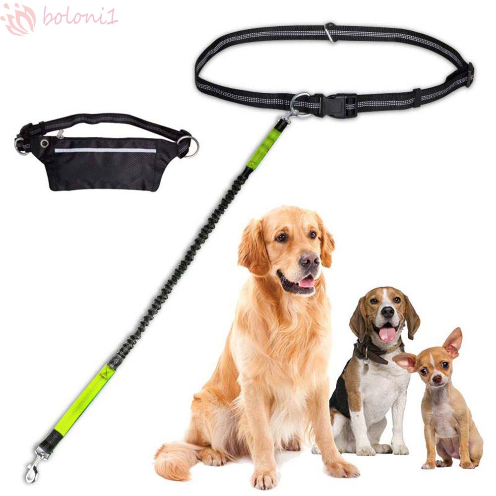 [COD] Dây Dắt Thú Cưng Đi Dạo Bằng Nilon Tùy Chỉnh Tiện Dụng Cho Cún Cưng